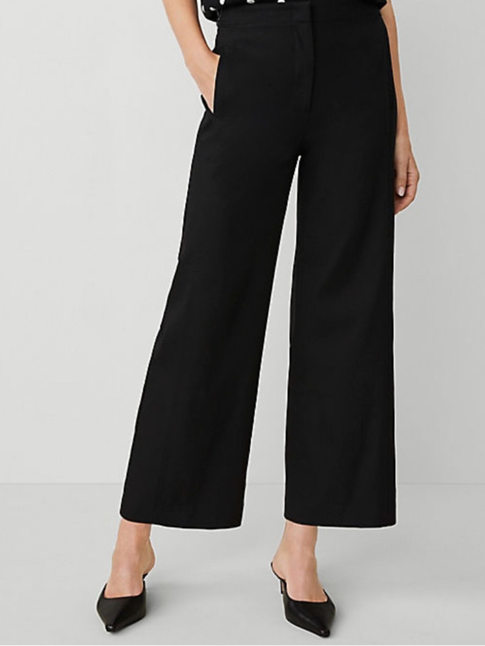 Ann Taylor Dark Navy Dress Slacks / Pants Size 16